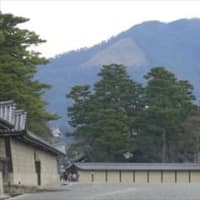 御苑の春・近衛邸跡の糸桜 in 京都府京都市上京区