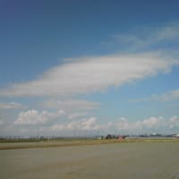 田植え