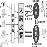 【日本人がポジティブシンキングになじめない本当の理由Ver1.02】