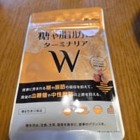 サプリ