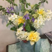 ボケの花