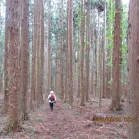 2025.05.05（月）石上山へ