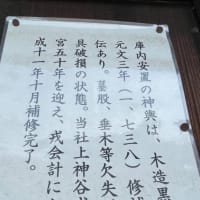 2022年新春の櫻井神社へ往復8000歩🚶‍♀️🚶‍♀️