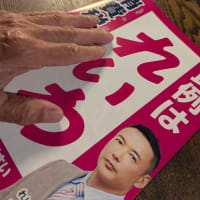 選挙だっ！何できる？