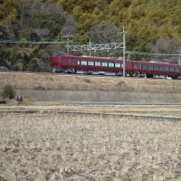 冬枯れの田に小豆色が通る