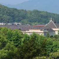 山口大神宮で夏越しの祓い
