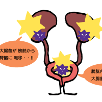 母・・緊急入院・・!!　(　その 1　)