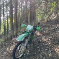 見晴らし珈琲ツーリング　危機一髪　崖から転落！！（自分だけ）