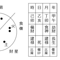 棚からぼた餅