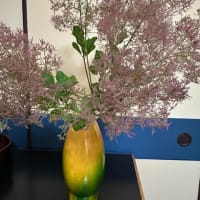 誕生日なので生まれ故郷の星を探しに行った。