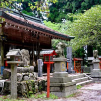 一言だけのお願い-大阪府千早赤阪村：金剛山