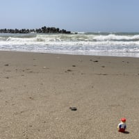 気の早い海