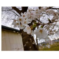 今日いち-2025年3月30日