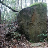 セミ系は時期が早いのよ