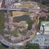 名残惜しい。