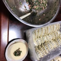 無事に🌾の種まき終わりました