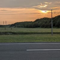 チョイといつもより近かった