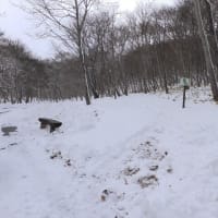 たっぷり雪が降り、そり遊びできます