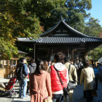 金閣寺