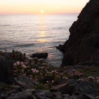 昨日の夕陽。