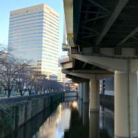 通勤散歩～日本橋川で橋巡り(5)〜
