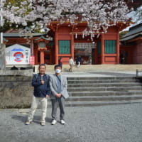 静岡　富士宮市で第2回ゴルフ合宿　その1　～静岡おでん、浅間大社、満開の桜、南極の石、火山弾、特別天然記念物　湧玉池～