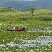 秘密兵器投入