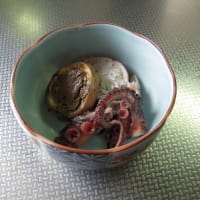 中海に春を告げる イイダコの煮付け 畑爺のときどき野良日記 船長日記