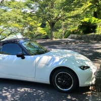 シートレール,ミラーのチェック