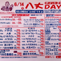 2025年夏ギフト味の直行便＊週末特売チラシ＊八丈DAY特別チラシ
