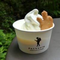 #9031 きんじろうソフト