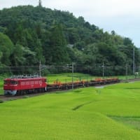 惰性な2263日目　75祭り