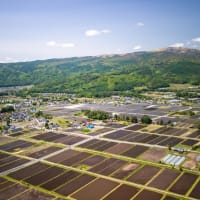 田んぼに水が入る季節