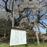 最初で最後のブログ…？