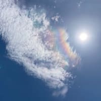 2021/8/10  13:00ごろ  加古川市付近  また・また 降臨しました・・・虹と白竜の共鳴・・・🌈 🐉  ☯️