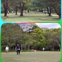 町内さわやかクラブ（春季グラウンドゴルフ大会）