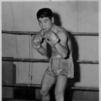 ボクシング 10年 Partii リカルド ロペスの後継者たち Daispo World Boxing Express