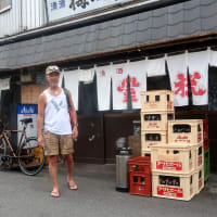 イワシの天ぷらハーフが普通サイズ　enjoyed fresh bonito, tuna sashimi and deep fried sardine