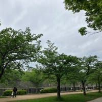 大阪城公園バーベキュー