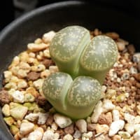 何年経っても・・・
