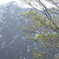 奥会津、一瞬の雪国の春。しかし、気温は季節を追い越して真夏の32度