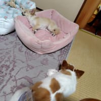 いい湯だな