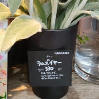 珍しいチューリップ♡と 薔薇♡