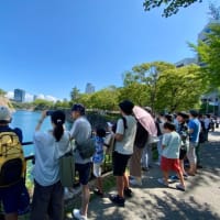 冥途の土産にブルーインパルス