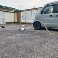 ちょちょっと銚子に
