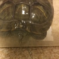 みんなの名前紹介！！