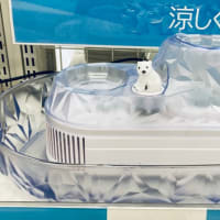 最近の身近な癒し