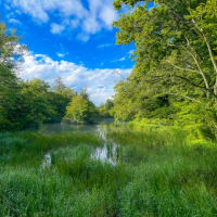 🌿9月の軽井沢・雲場池🌿