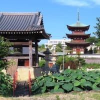 家原大池公園から神野公園