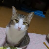 クリンへの想いは尽きなくて・・・285
